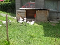 bild (57)